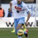 Gabbiadini DAN3550