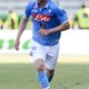 strinic azione napoli maggio 2015 ifa