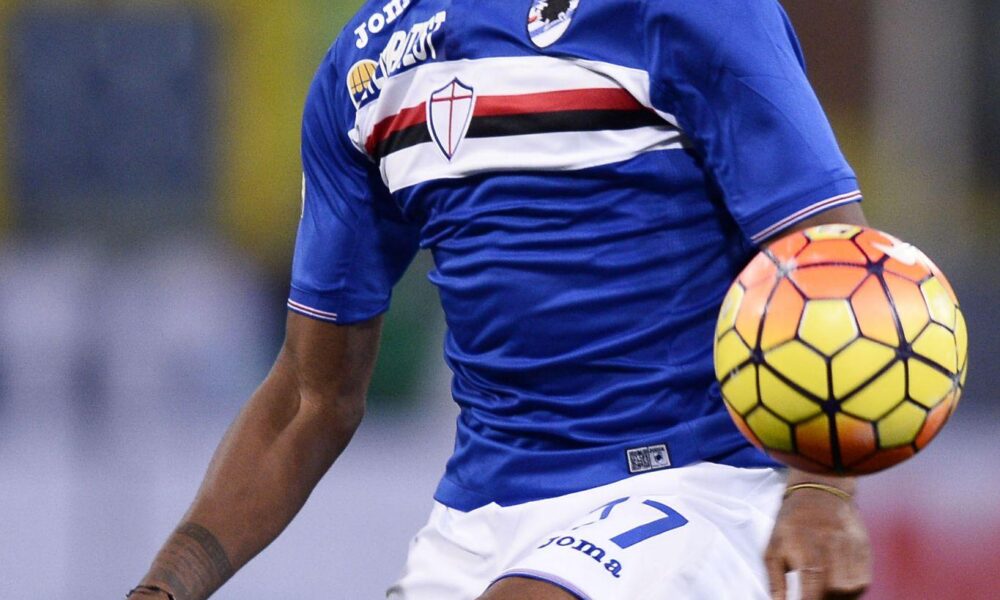 carbonero bogliasco