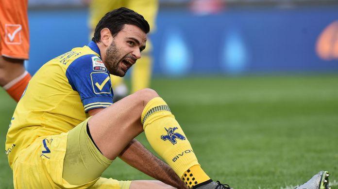 radovanovic-disteso-chievo-gennaio-2016-ifa