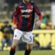 antonsson azione bologna 2013 ifa