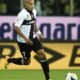 biabiany parma 2013 ifa