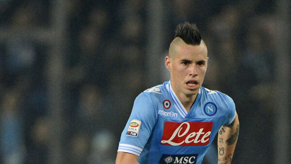hamsik casa 2013 ifa