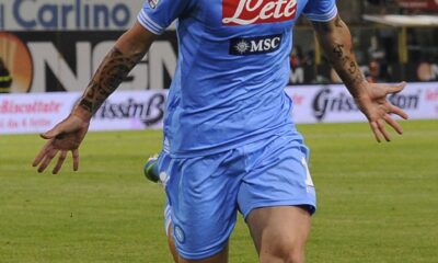 hamsik