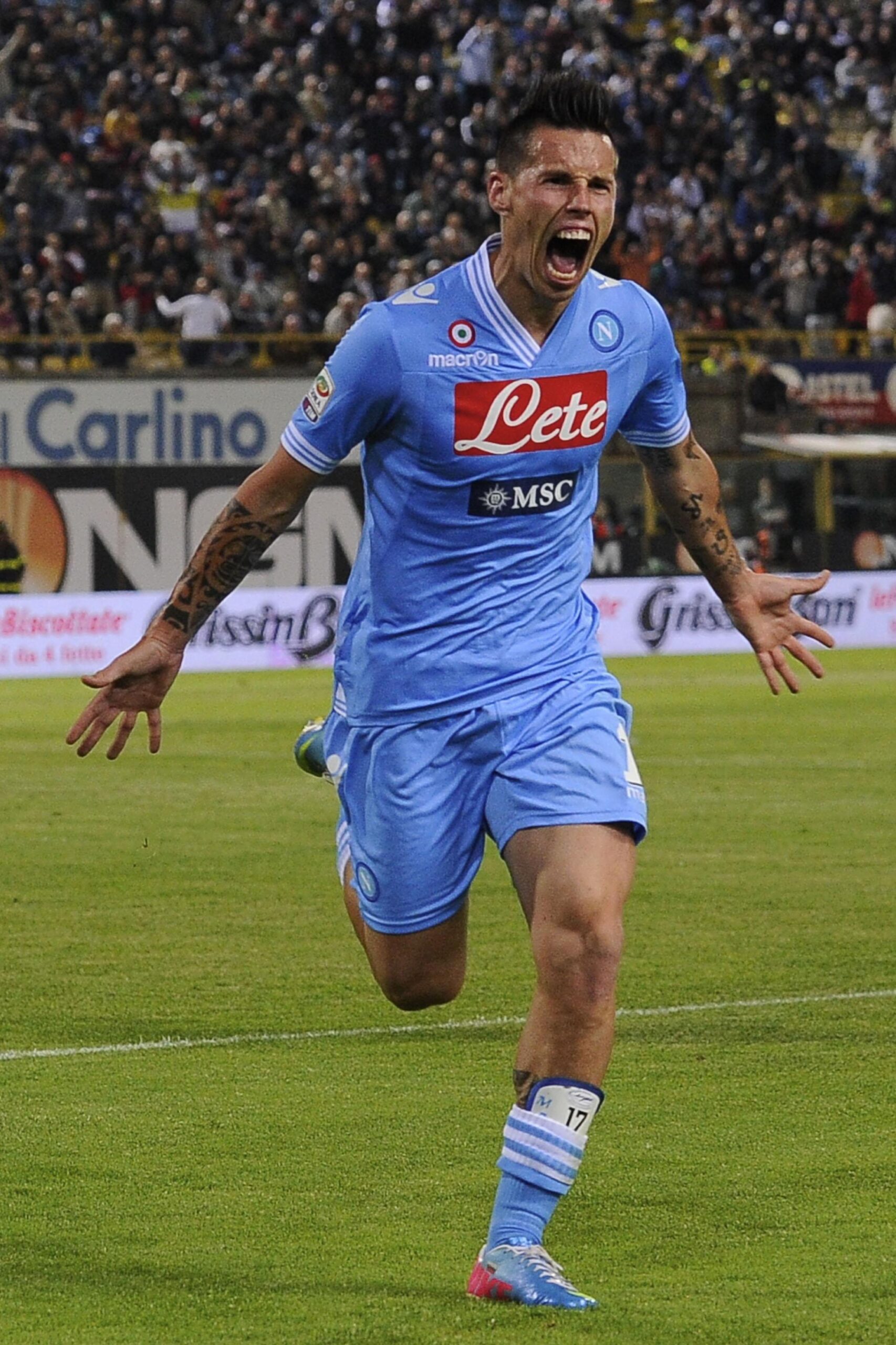 hamsik