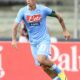 hamsik napoli 2013 ifa