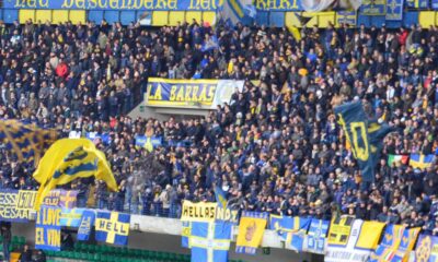 verona tifo 2014