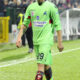 padalino vicenza verde ifa