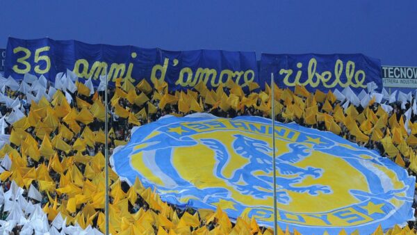 parmatifo ifa