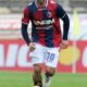 pazienza bologna ifa