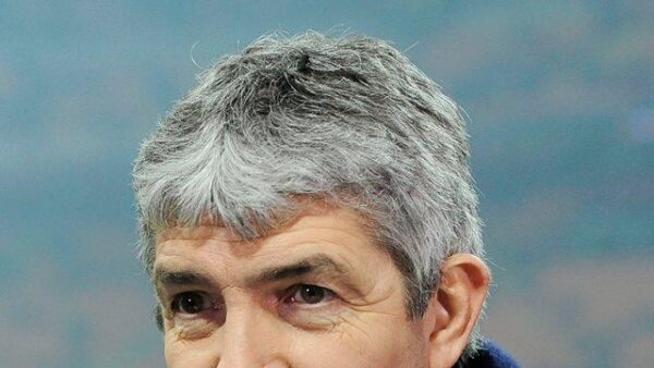 rossi paolo ifa