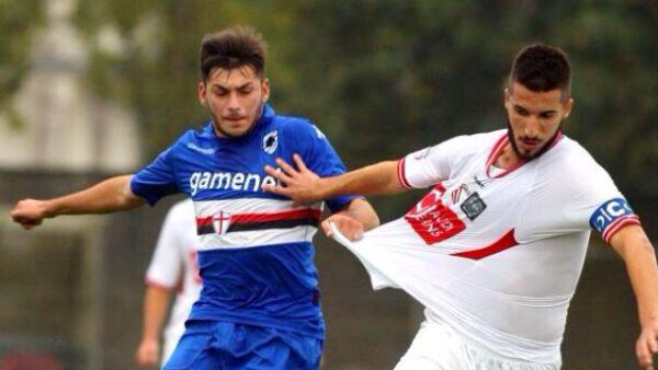 ciccone nicola