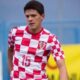 karlo lulic uefa com