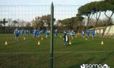 samp acqua acetosa