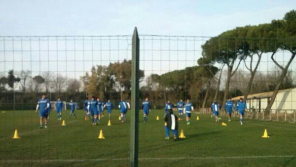 Samp acqua acetosa