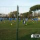 samp acqua acetosa