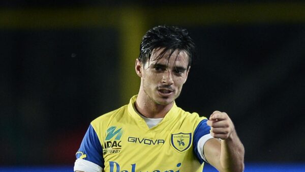 Stoian chievo 2013 ifa
